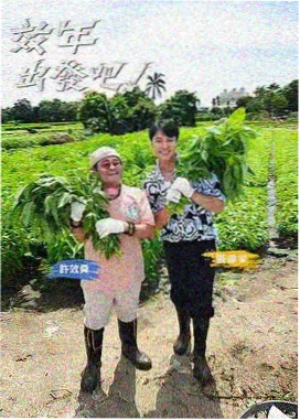 厨房风暴 土豆影院竞技综艺在线观看